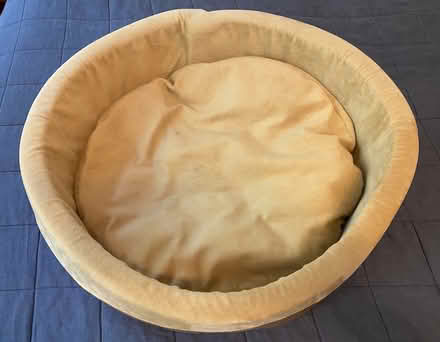 Photo of free Cat or small dog bed (West Village, Manhattan) #1