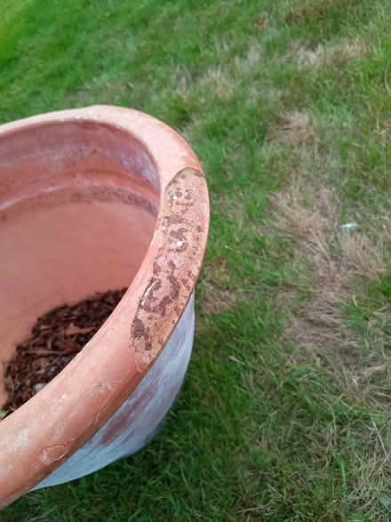 Photo of free Big clay pot (Hayling Island PO11) #3