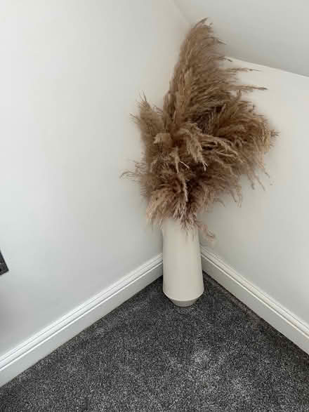 Photo of free Vase and pampas grass (Spinney hill NN3) #1