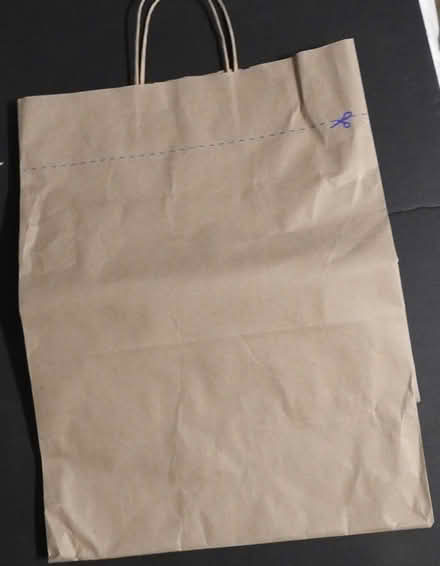 Photo of free Paper Bags (Mavis and Rathburn) #1