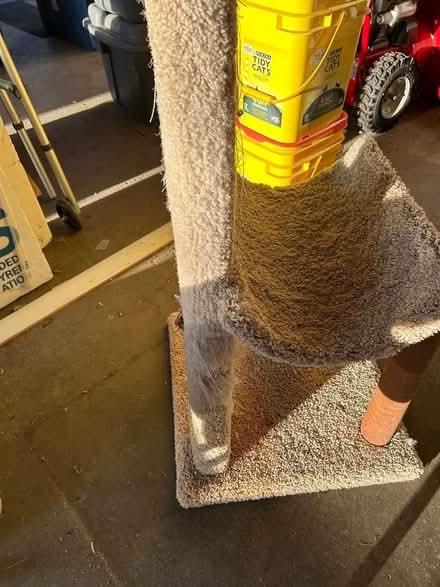 Photo of free Cat tree needing TLC (Sun Prairie) #4