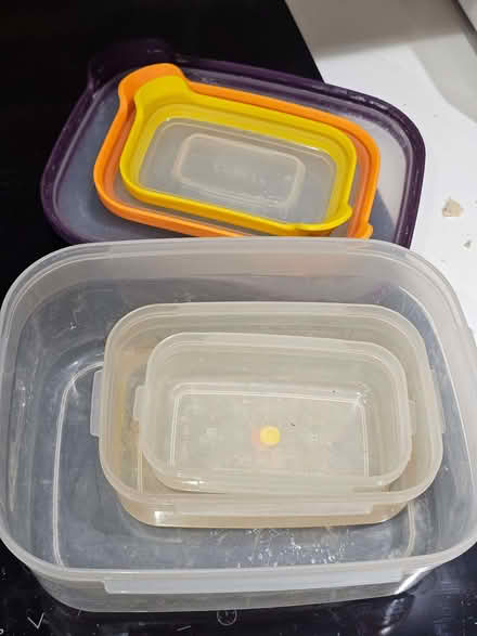 Photo of free Plastoc bottle and containers (Bromham MK43) #1