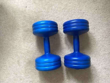 Photo of free 5kg dumbells (Clifton Reynes) #2
