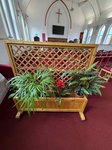 Photo of Large or very large indoor plants (Irby CH61) #1