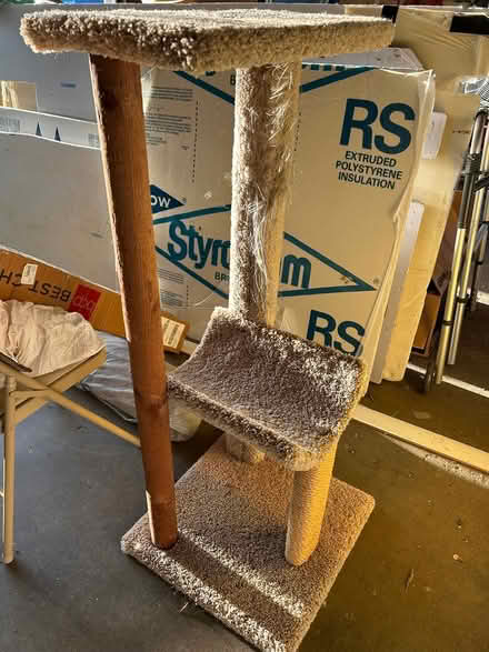 Photo of free Cat tree needing TLC (Sun Prairie) #2
