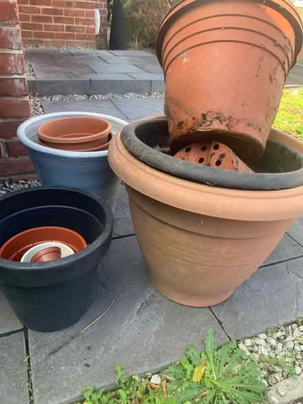 Photo of free Plant pots (lough LE11) #2
