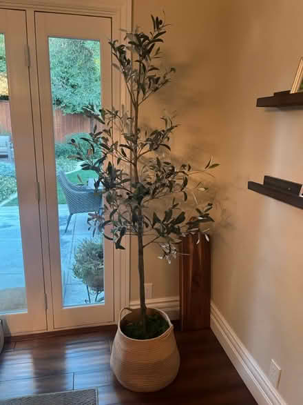 Photo of free 6’ faux olive tree (Fremont, Niles Area) #1