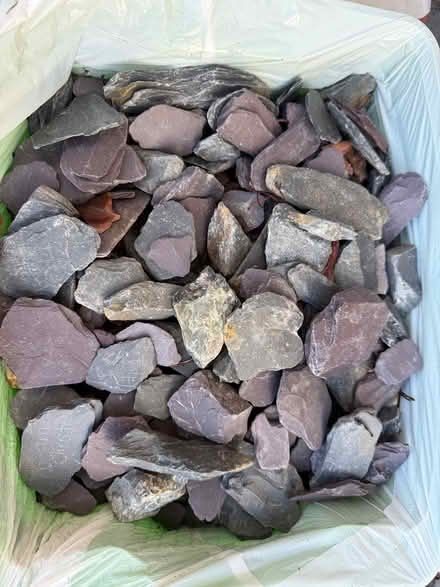 Photo of free Grey/ purple state paddlestones (AL4) #1