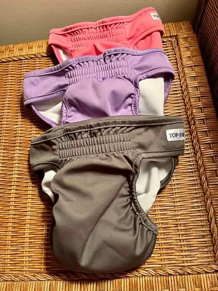 Photo of free reusable dog diapers size Large (Derwood, MD) #1