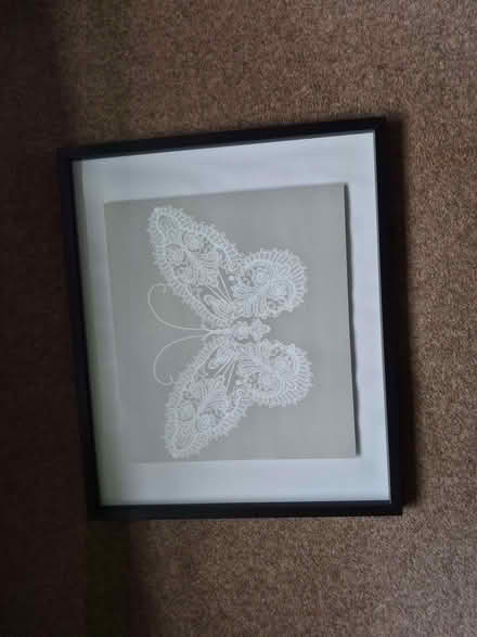 Photo of free M & S Butterfly Print (Horsforth LS18) #1