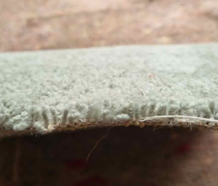 Photo of free Plain carpet :4.8 sq m (West End Glasgow G12) #2