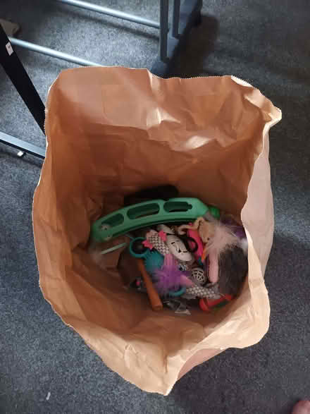 Photo of free Bag of mixed cat toys (Broomridge FK7) #1