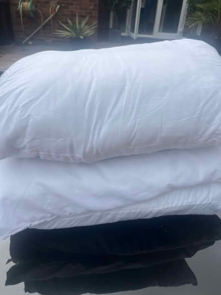 Photo of free Brand new pillows (Stourport-on-Severn DY13) #1