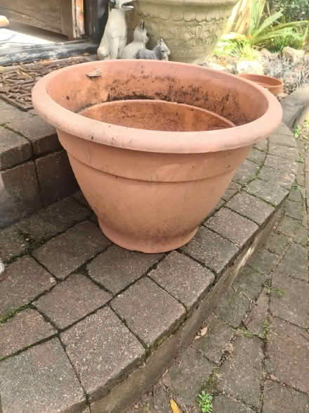 Photo of free Pots (Selsdon CR2) #1