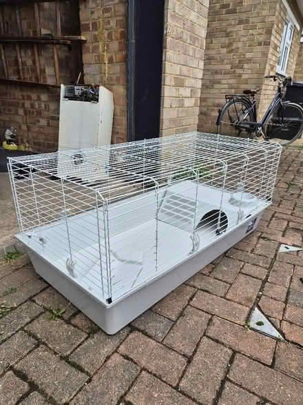 Photo of free Small Pets Cage (London Colney AL2) #1