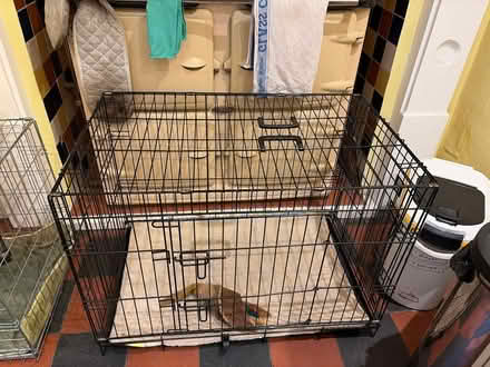 Photo of Dog crate (Llandrindod LD1) #1
