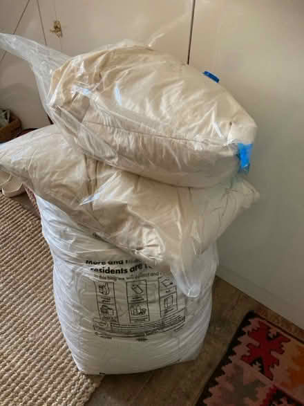 Photo of free Duvet and cushions (Gillingham nr hospital ME7) #2