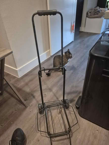 Photo of free Folding utility cart- with strap (76102) #1