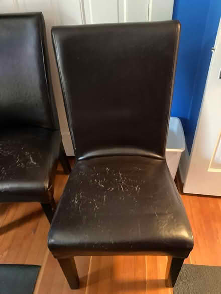 Photo of free Six dining room chairs (near Dalhousie) #1