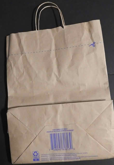 Photo of free Paper Bags (Mavis and Rathburn) #2