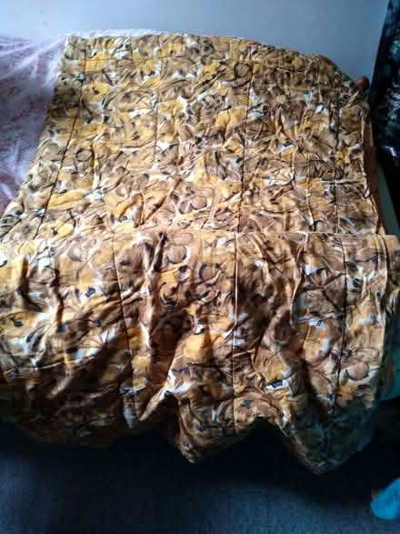 Photo of free 2 sleeping bags with zips (Ambleside LA22) #1