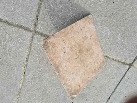 Photo of free Plasters Hawk (Scotstoun G14) #3