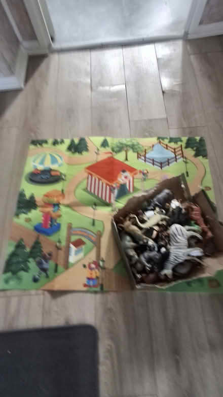 Photo of free Kiddies play mat with animals (Ellesmere port, CH65) #1