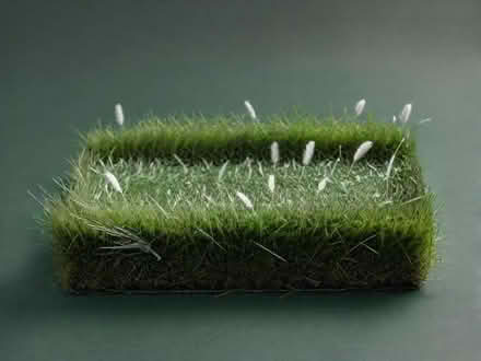 Photo of Fake grass offcut (Whiteinch G14) #1