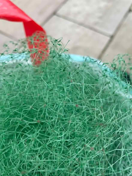 Photo of free Gardening netting (S11 Ecclesall) #2