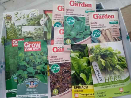 Photo of free Veg seeds (Horsham, RH13 5) #1