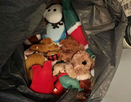 Photo of free Dog toys (Horsham RH12) #1
