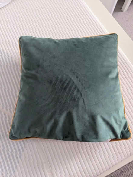 Photo of free M&S cushion and cover (Hitchin SG5) #3
