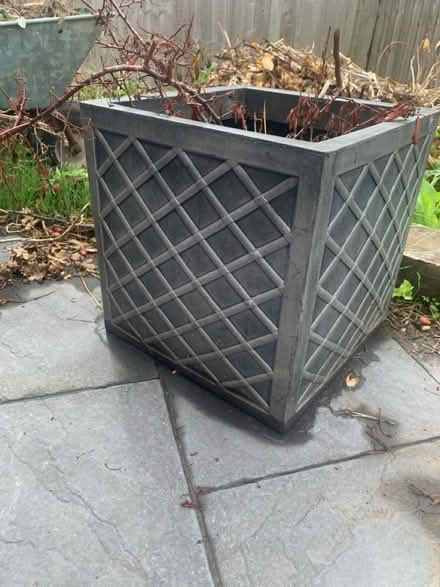 Photo of free 5 x plant pots (lough LE11) #3