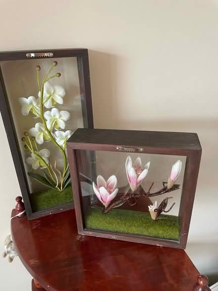 Photo of free Two flower decorative hanging boxes (Talbot Village BH10) #4