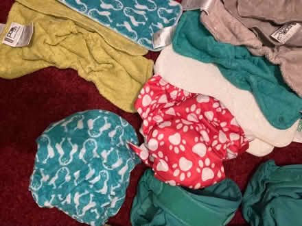 Photo of free Reusable nappy bundle (Leyton) #2