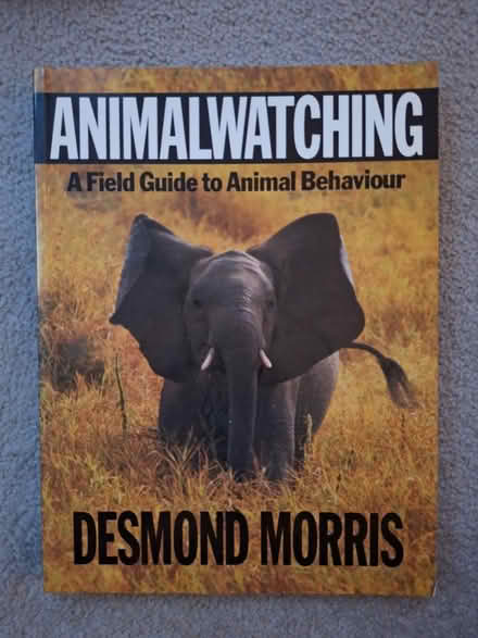Photo of free Animal book (Maidstone town center ME15) #1