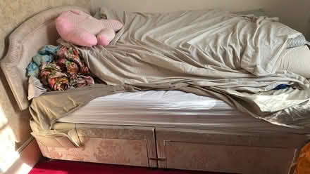 Photo of free Kings size bed and mattress (Millbank SW1P) #1