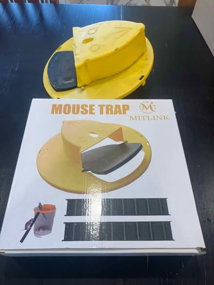 Photo of free Mousetrap (Bloomfield, NJ) #1