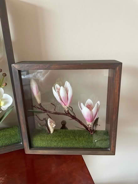 Photo of free Two flower decorative hanging boxes (Talbot Village BH10) #3