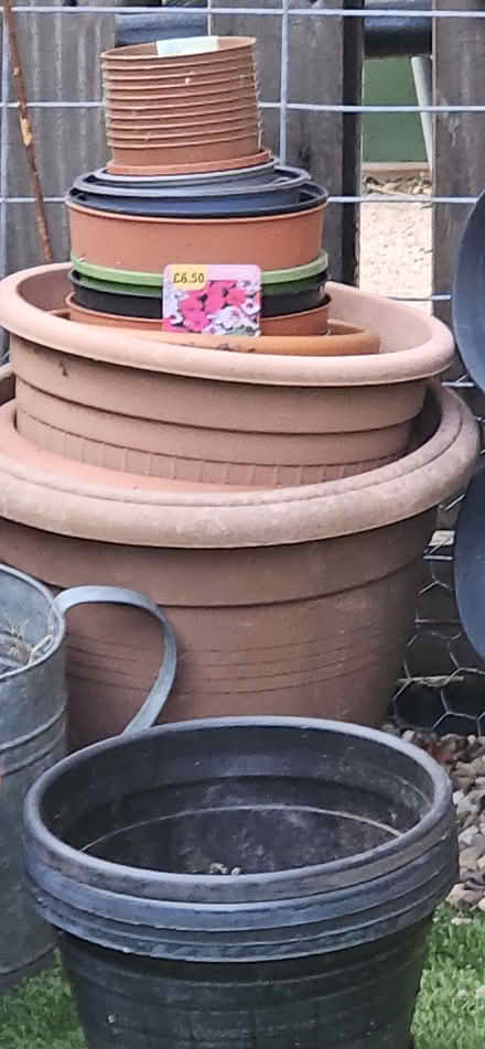 Photo of free Plant pots (Bramley LS13) #2