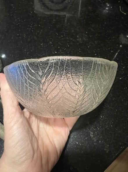 Photo of free Arcoroc Country Wheat Glass Bowl (Columbia Heights) #1