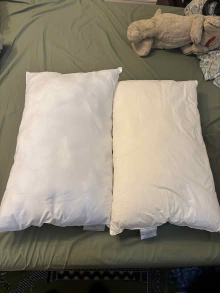 Photo of free Pillows (Harringay Ladder N4) #1