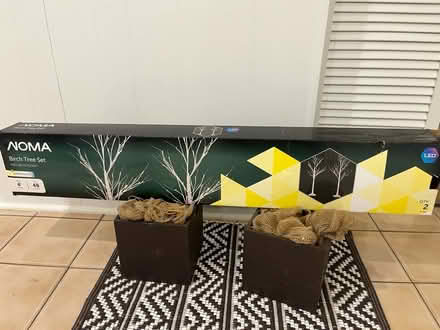 Photo of free Birch tree set (Thornhill) #2