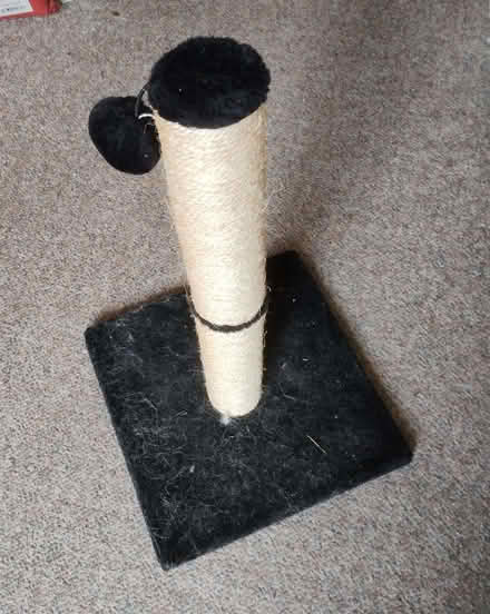 Photo of free Cat scratching post (Crosspool S10) #1