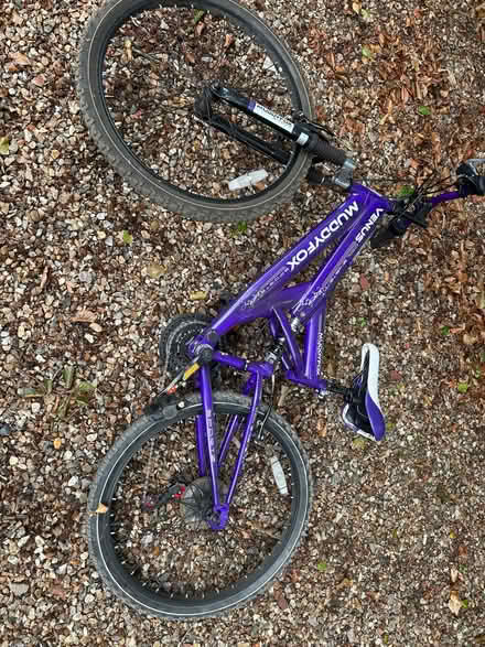 Photo of free Girls bike (Milton Malsor NN7) #1