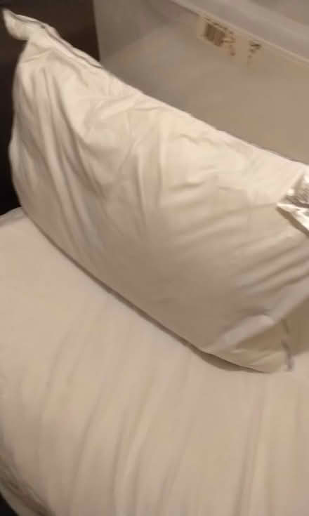 Photo of free Pillow (Spondon derby DE21) #2