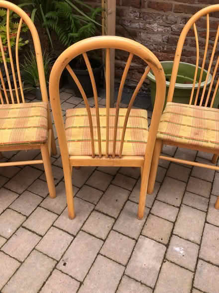 Photo of free Dining chairs (Audlem CW3) #4