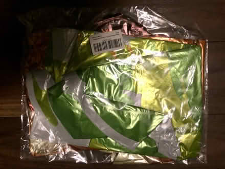 Photo of free Dinosaur party balloons (Latchford WA4) #3