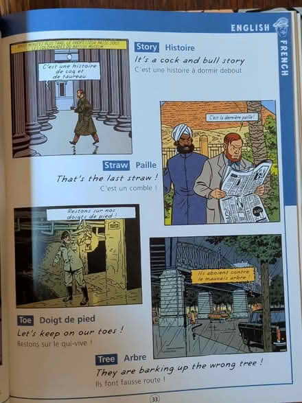 Photo of free English-French dictionary of idioms (Jamaica Plain) #3