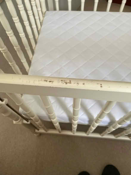 Photo of free Cot (Fareham PO16) #4